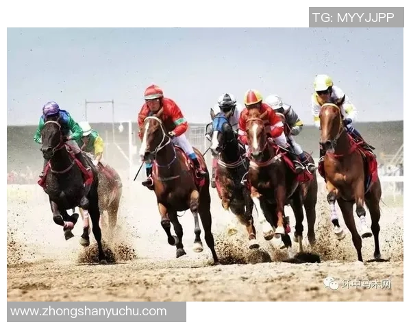 精彩对决首尔队迎战光州队直播全程回顾与精彩瞬间分享